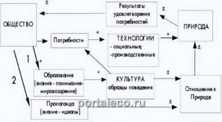 Модель социоэкологического взаимодействия 